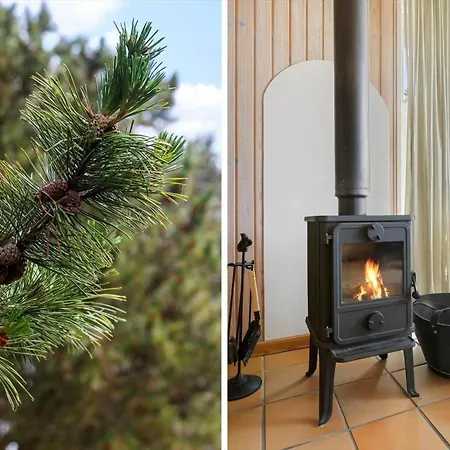 0021-romo-ringvejen-74 * Lakolk